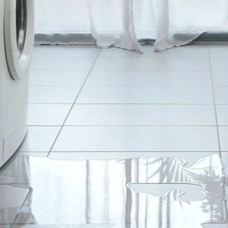 Appliance Leak Cleanup in Lake Worth, FL